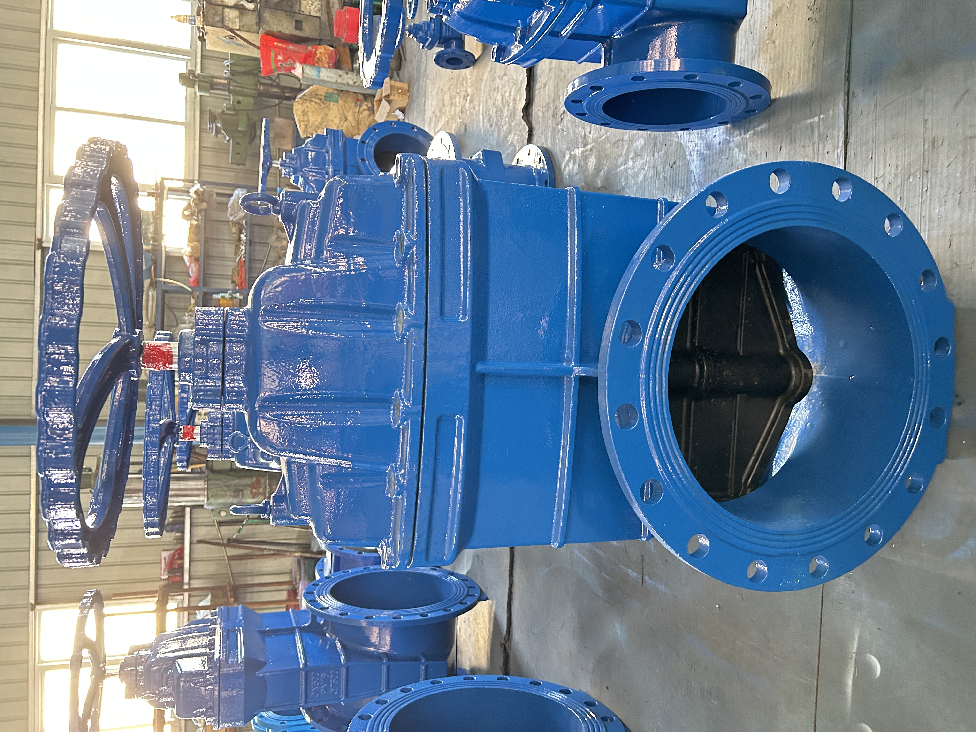 Saracinesca a doppia flangia: robusta e affidabile